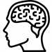 brain-category